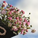 images198.jpg