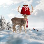 Что можно подарить девочке 13