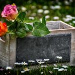 На какие подарки есть улучшения