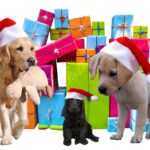 Какой придумать подарок images549.jpg